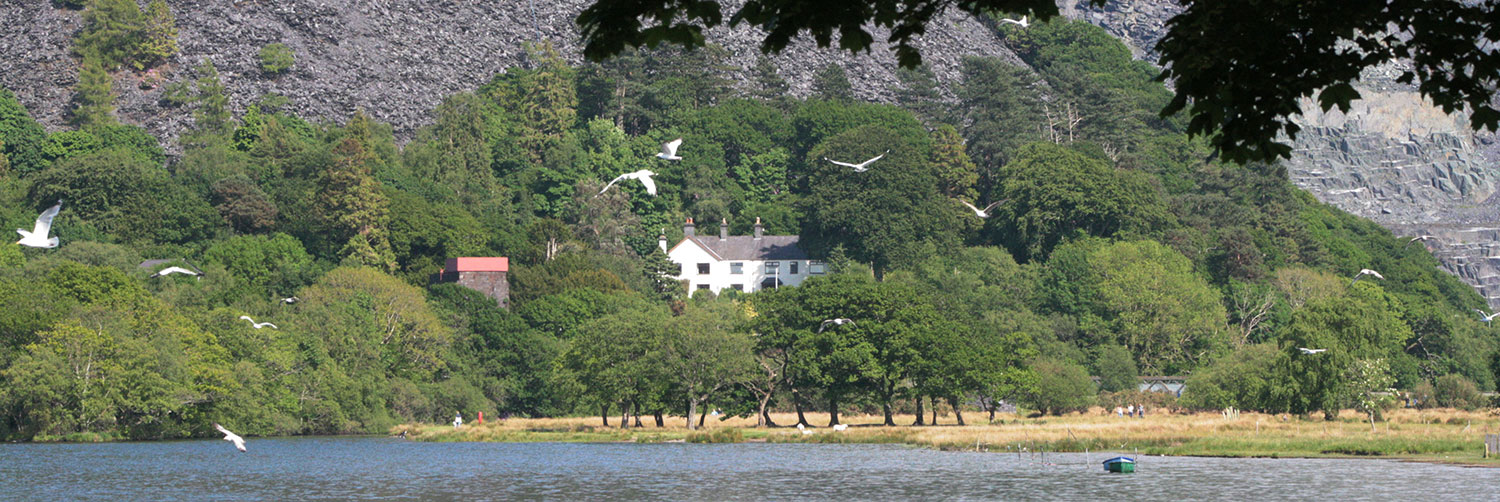 Coach House Cottage at Glan-y-Bala Holidays